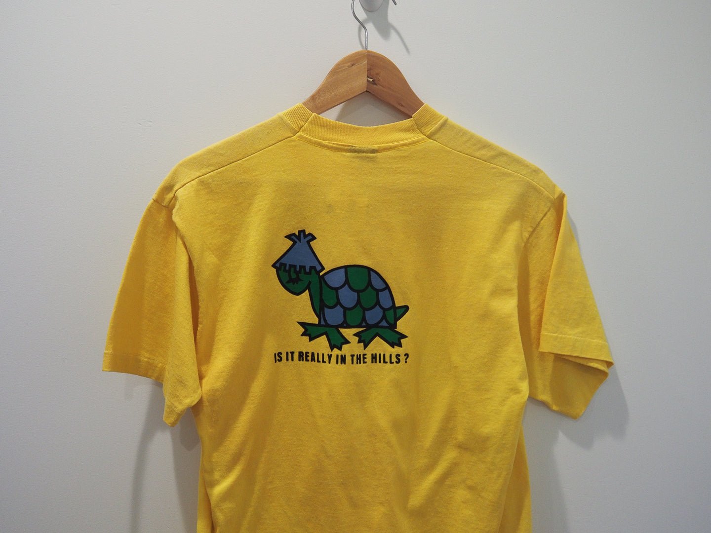 Vintage 80s Lake in the Hills T-Shirt – Turtle Graphic, Screen Stars, Yellow Clothes - Screen Stars - Afterthought Vintage