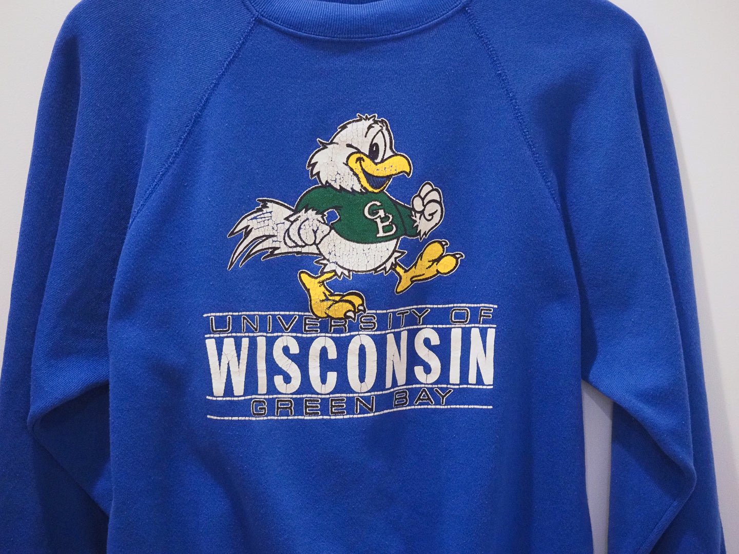 Vintage 80s University of Wisconsin Green Bay Sweatshirt (Youth XL, Fits Adult S) Clothes - Artex - Afterthought Vintage