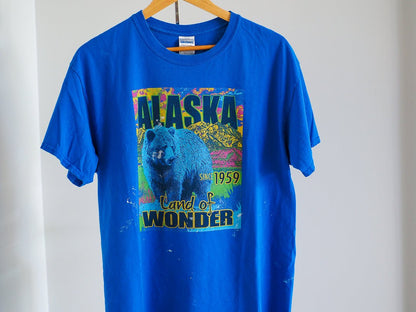 Y2K Alaska Graffiti Bear Thrashed T-Shirt Clothes - Afterthought Vintage