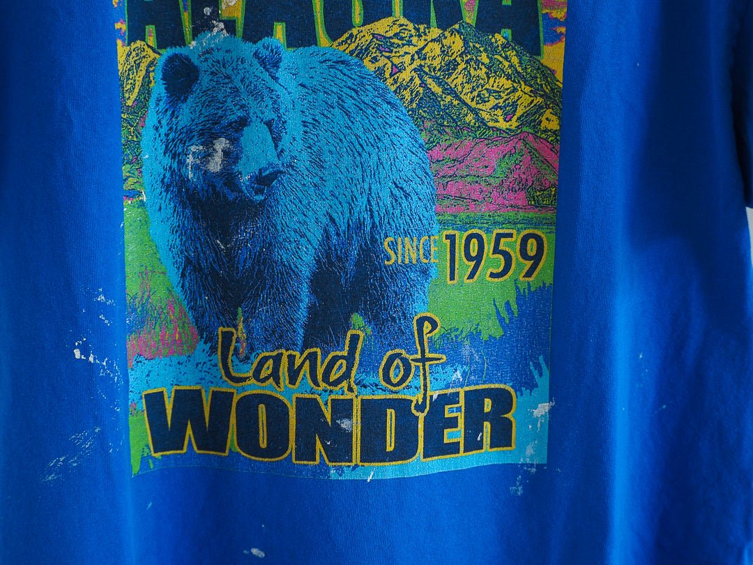 Y2K Alaska Graffiti Bear Thrashed T-Shirt Clothes - Afterthought Vintage