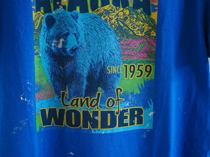 Y2K Alaska Graffiti Bear Thrashed T-Shirt Clothes - Afterthought Vintage