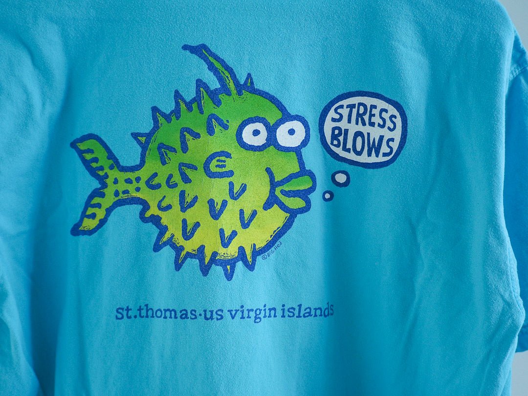 Y2K Chill St. Thomas U.S. Virgin Islands T-Shirt Clothes - Afterthought Vintage