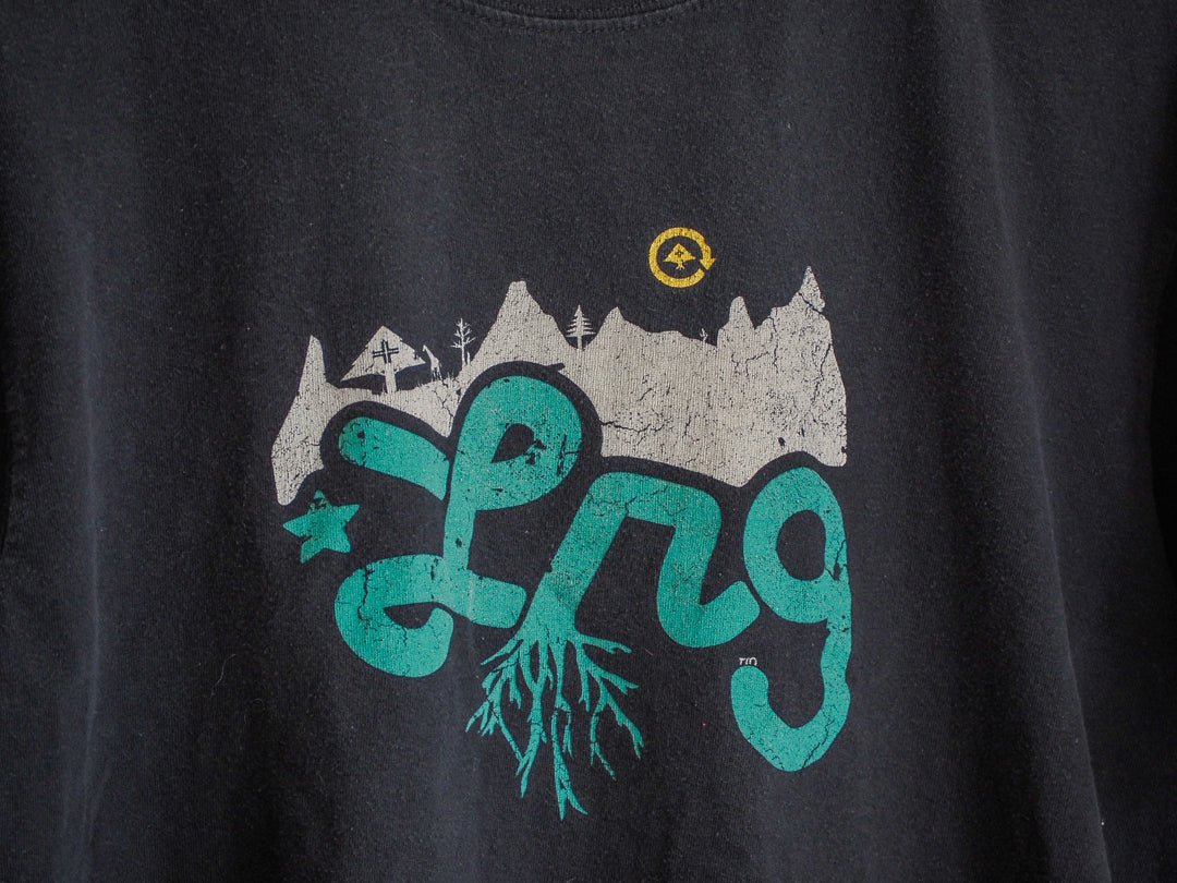 Y2K LRG Mountains Logo Graphic Skater T-Shirt - LRG - Afterthought Vintage