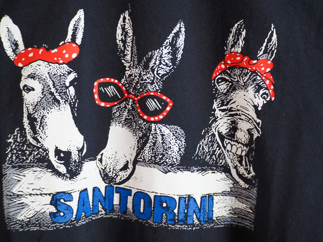 Y2K Santorini Donkeys T-Shirt Clothes - Greece - Afterthought Vintage