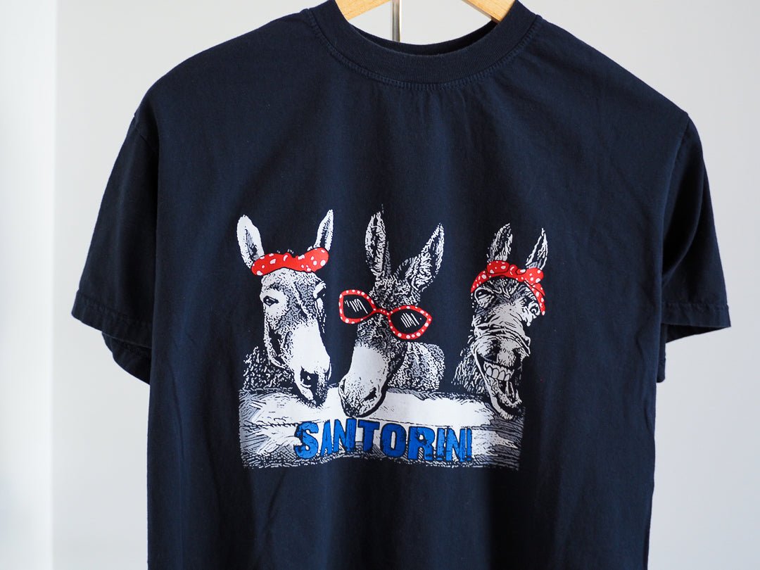 Y2K Santorini Donkeys T-Shirt Clothes - Greece - Afterthought Vintage