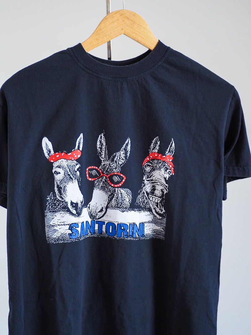 Y2K Santorini Donkeys T-Shirt Clothes - Greece - Afterthought Vintage